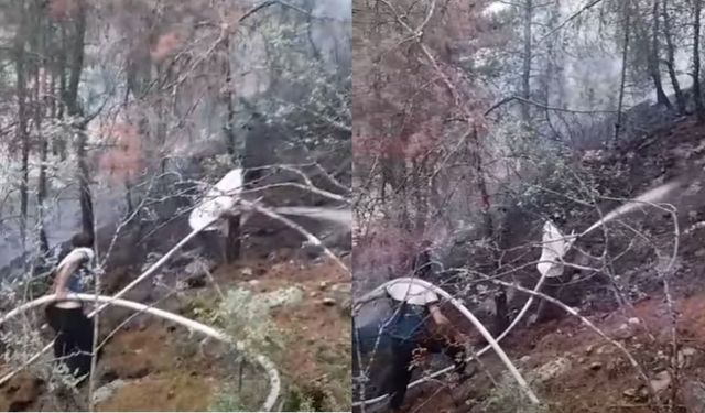 Tosya’da orman yangını: Ekipler sevk edildi!