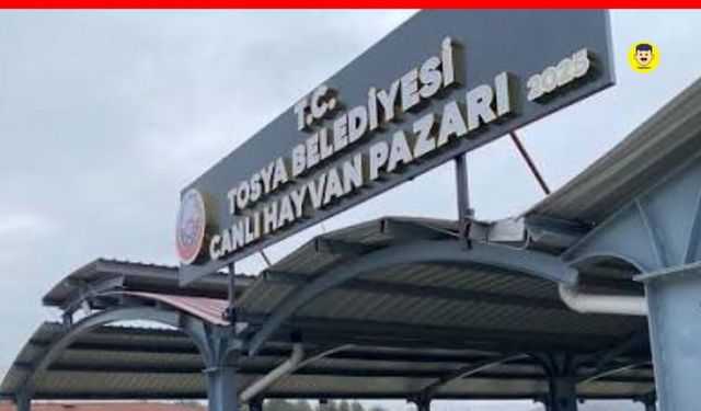 Tosya'da şap tedbiri: Hayvan pazarında faaliyetler durdu