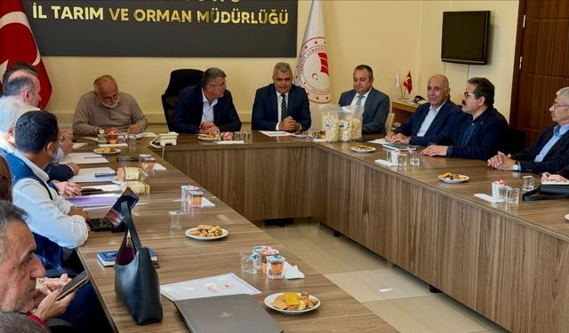 Kastamonu'nun bereketi Türkiye'nin raflarına taşınıyor!