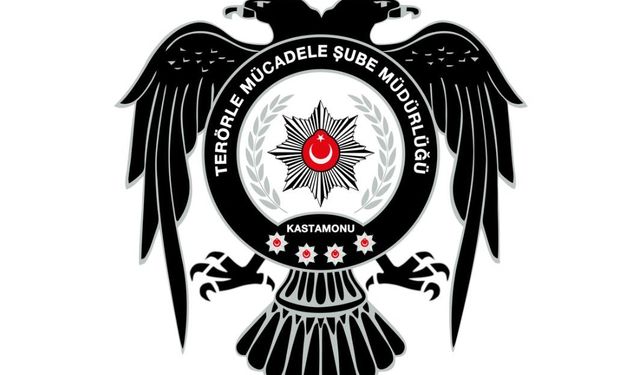 Kastamonu'da PKK/KCK bağlantılı 1 şahıs yakalandı