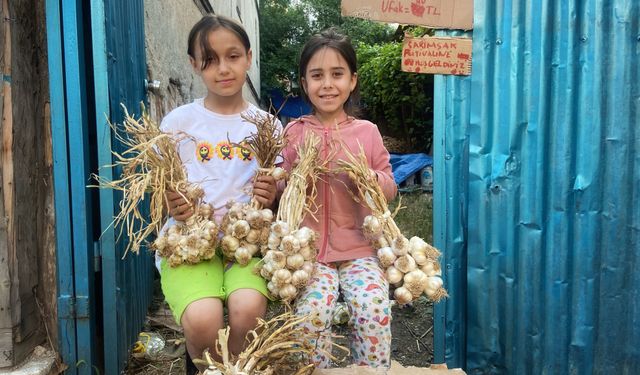 Çalışkan ve Kıvrak Arkadaşlar Kartona Yazdıkları Yazıyla Sarımsaklarını Satıyorlar