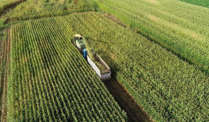 Tarımsal destek ödemesi bugün hesaplara yattı