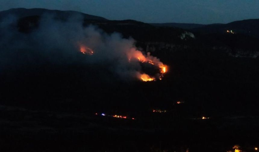 Orman yangını 7 saat sonra kontrol altına alındı