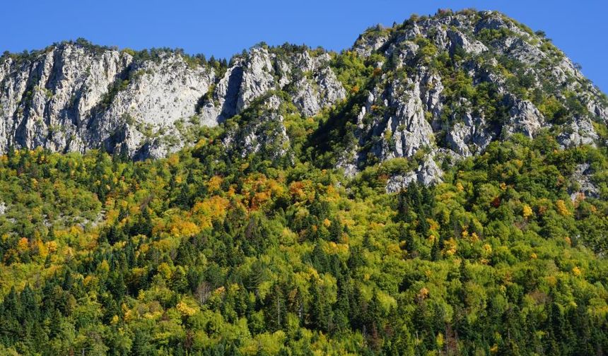 Türkiye’nin tek 'Pan Parks' statüsüne sahip Küre Dağlarında mest eden sonbahar manzarası