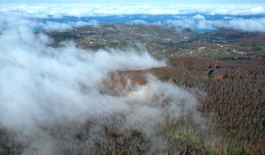 Kastamonu'da vadilere sis çöktü