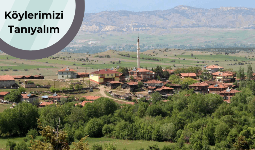 Taşköprü’nün zengin kültür mirası: Tepedelik köyünün tarihi hikayesi