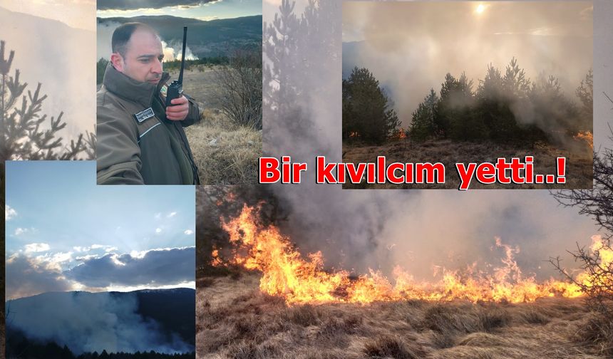 Taşköprü'nün Pirahmetli Köyü'ndeki orman yangınında son durum!