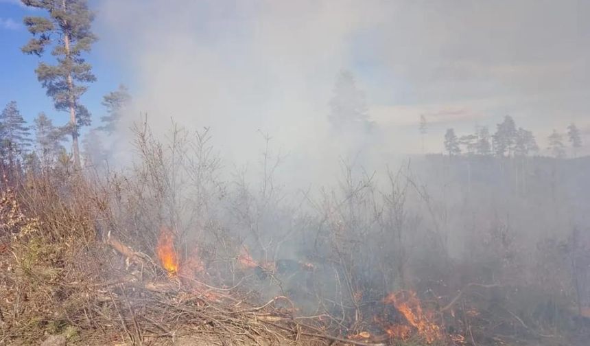 Daday'da çıkan orman yangını söndürüldü