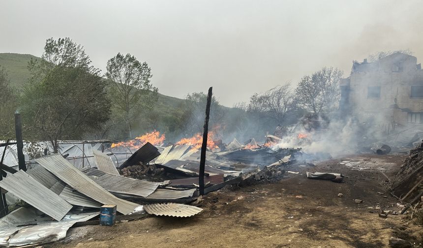 Kastamonu'da korkunç yangın: 3 ev, 2 ahır ve 1 samanlık alevlere teslim oldu!