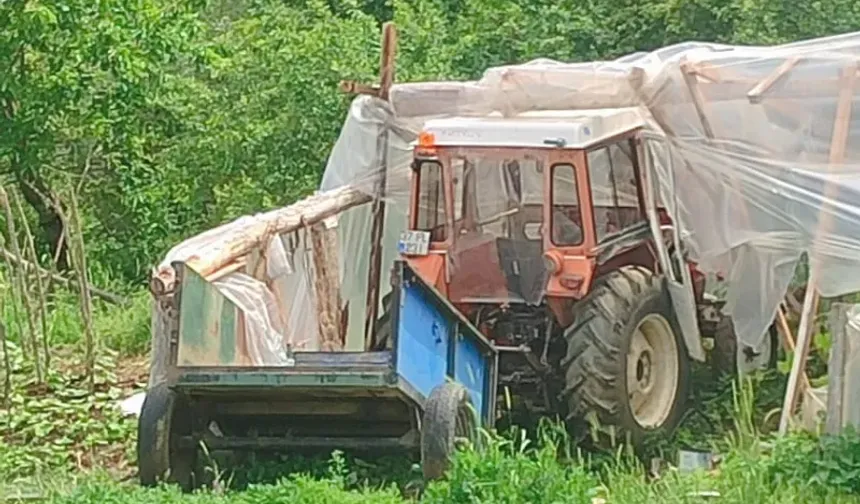 Kastamonu'da traktörün altında kalarak yaşamını yitirdi: Detaylar belli oldu!