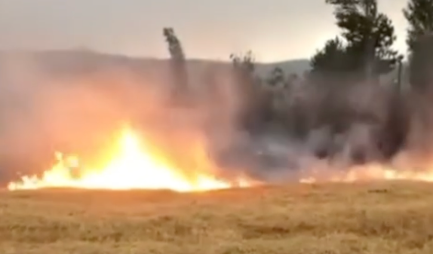 Kastamonu Tosya'da Yangın Paniği! (Videolu Haber)