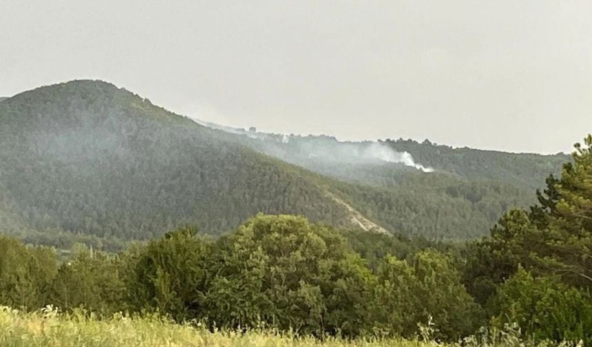 Kastamonu'da Yangın Haberleri Art Arda Geliyor: İhsangazi'de Ormanlık Alanda Yangın!