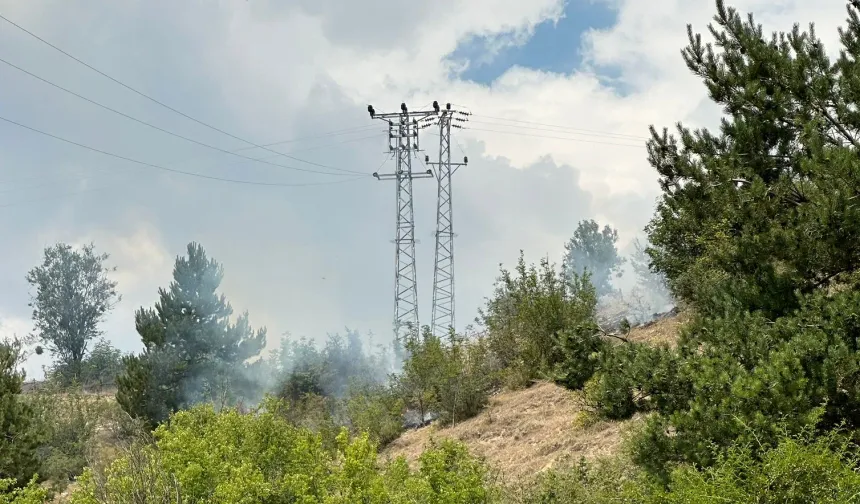 Kastamonu'da yıldırımlar ormanı yangınına dönüştü: Müdahale devam ediyor!
