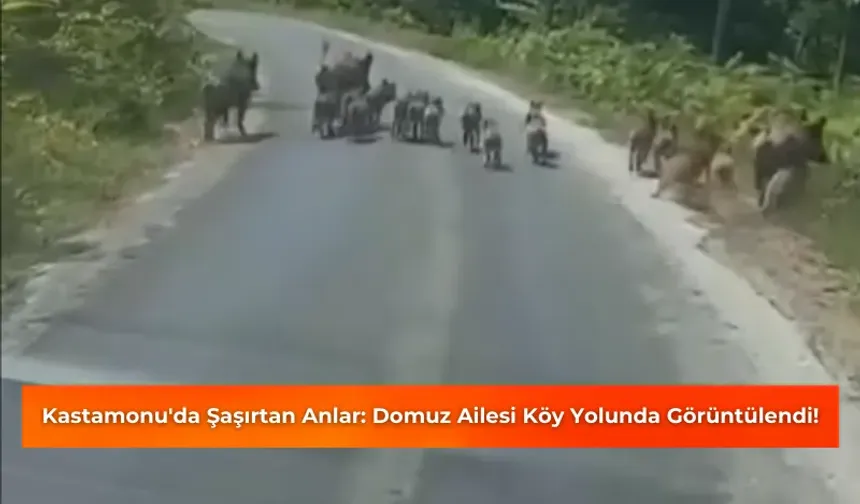 Kastamonu'da Şaşırtan Anlar! Köy Yolunda Görüntülendi!