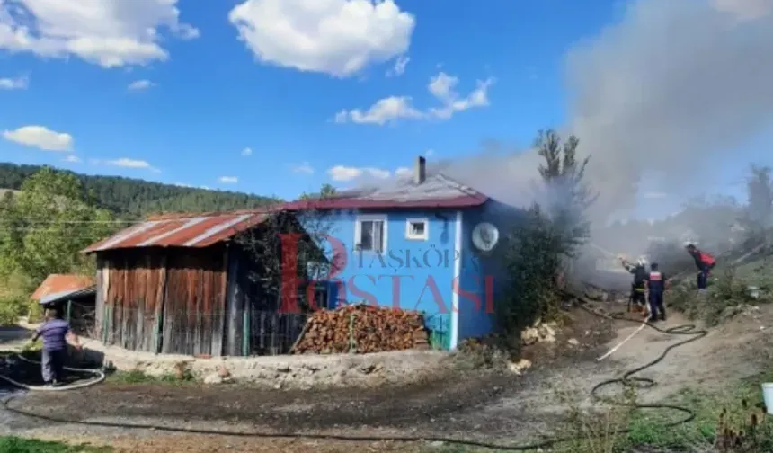 Kastamonu'da yangın: Müdahale ediliyor!