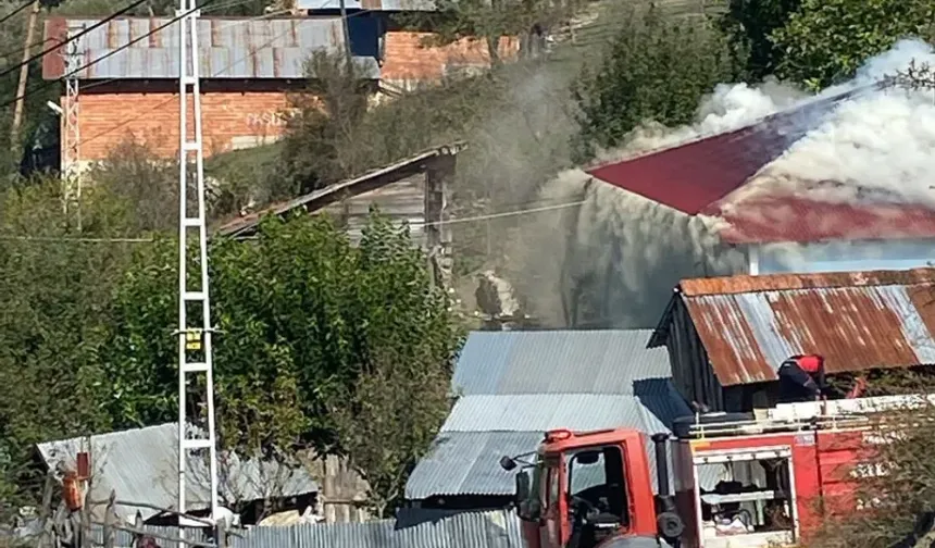 Kastamonu'daki yangın kontrol altına alındı!