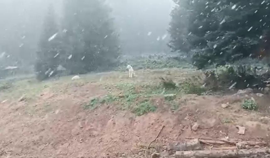 Ilgaz Dağı’nda kar yağışı etkili oluyor: Sıcaklık sıfırın altına düştü! (görüntülü haber)