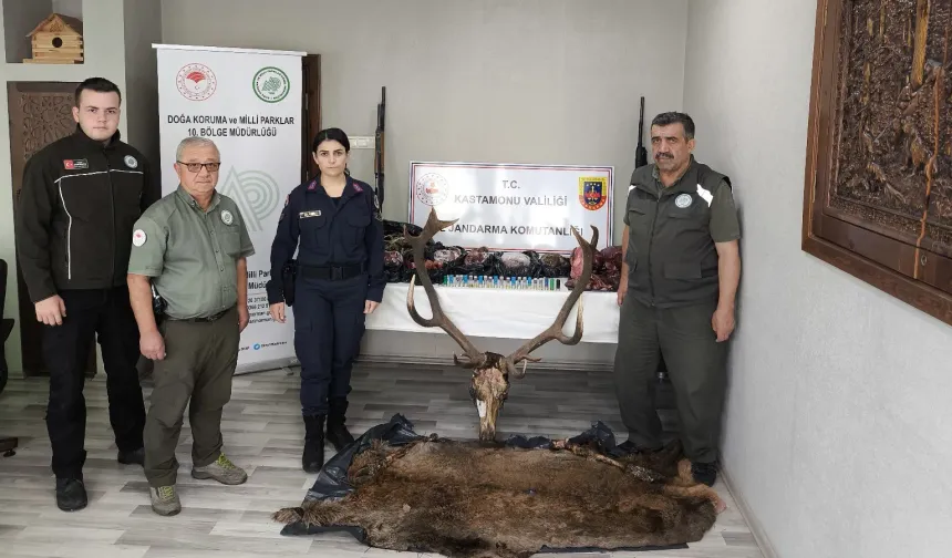 Kaçak avcılık Kastamonu'yu sarstı: Geyik sucukları bulundu!