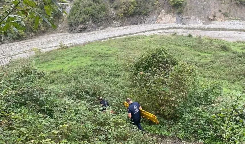 Kastamonu'da ağaçtan düştü! 3 saat süren çaba ile hastaneye ulaştırılabildi!