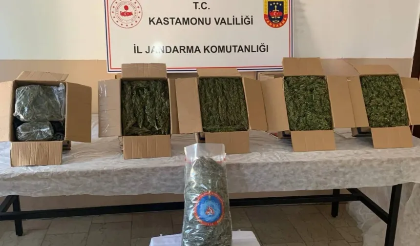 Kastamonu'da uyuşturucu operasyonunda gözaltına alınan şahıs tutuklandı