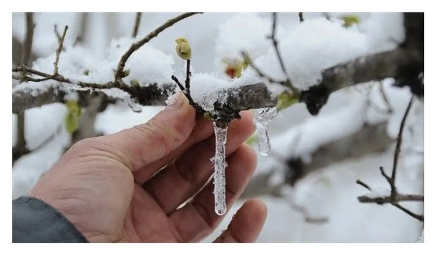 Kastamonu'daki çiftçiler dikkat: Bu uyarı size!