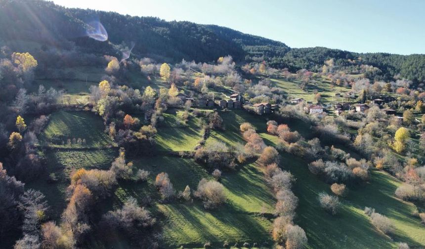 Kastamonu'da sonbaharda renk çümbüşü