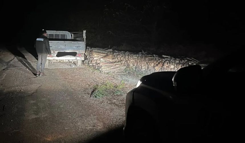 Kastamonu'da hırsızlık yaparken yakalandı!