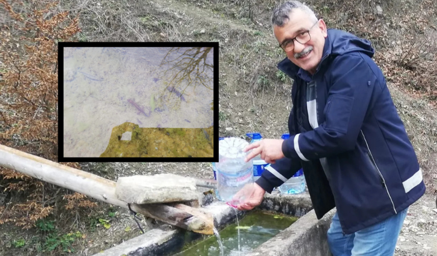 Kastamonu'da görüldü: Nesli tükenmek üzere olan tür ilgi çekti!