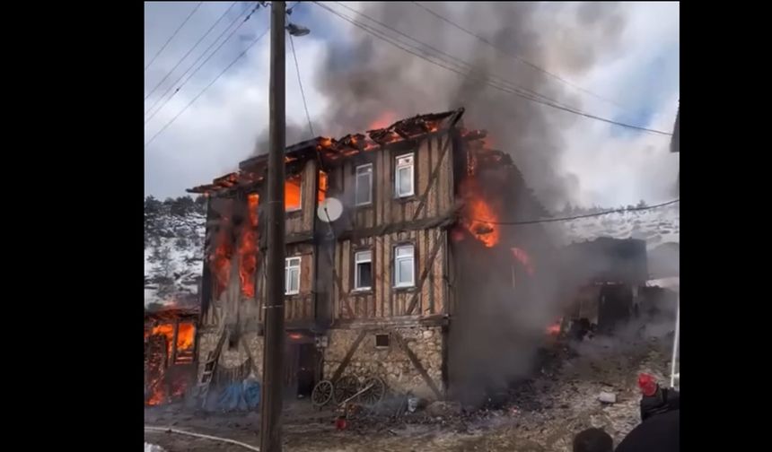 Kastamonu'da feci olay: 55 hayvan yanarak can verdi (görüntülü haber)