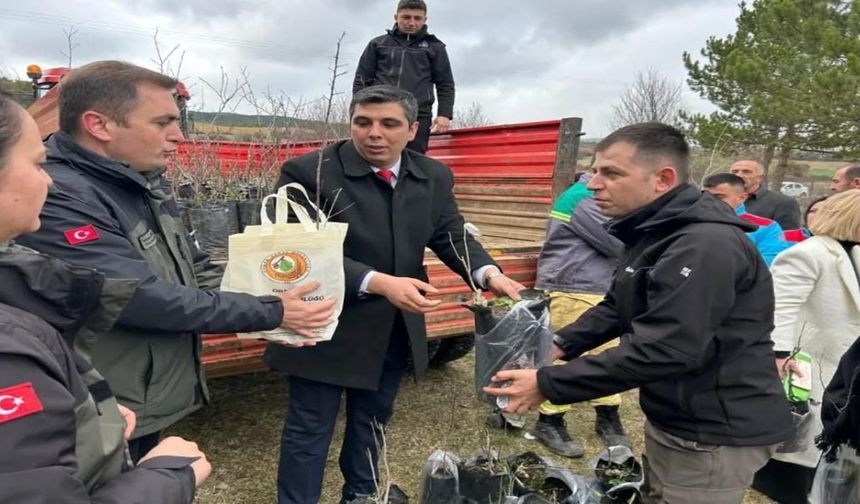 Kastamonu'da 400 fidan şehitler için kök salacak