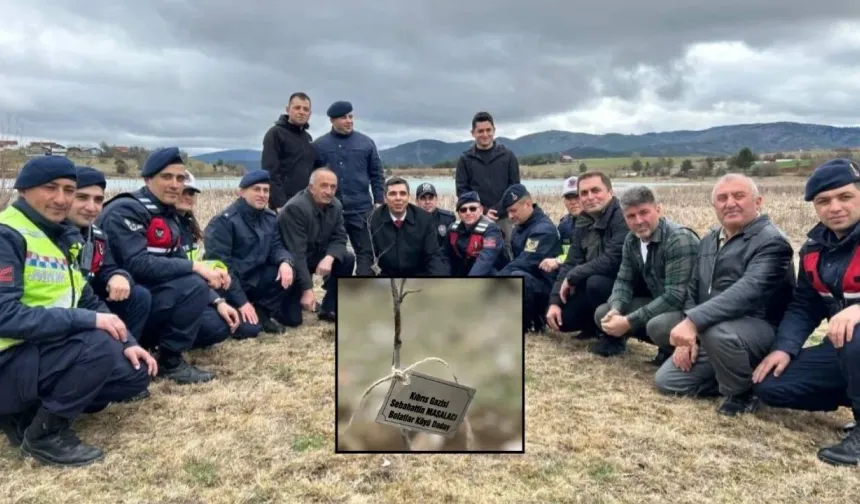 Kastamonu’da aziz şehitlerin anısına yüzlerce fidan dikildi