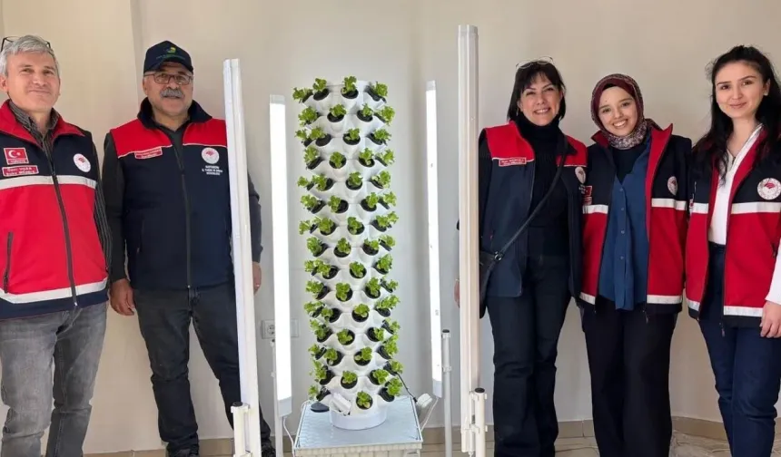 Kastamonu’da Topraksız Tarım Eğitimi Verildi