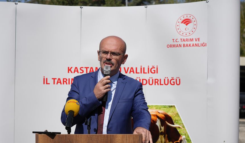 Genel Müdür Yardımcısı Kastamonu'da Konuştu: 'Üretim Varlığımız 138 Milyon Tona Ulaştı'