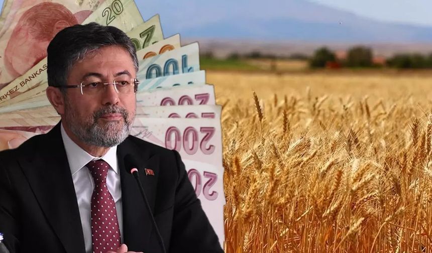 Kastamonulu Bakan Açıkladı: 168 Milyon Lira Ceza!