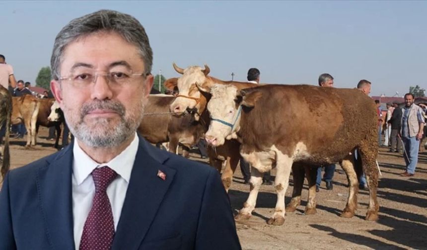 Kastamonulu Bakandan 'şap' açıklaması: Hayvan pazarları açılıyor!