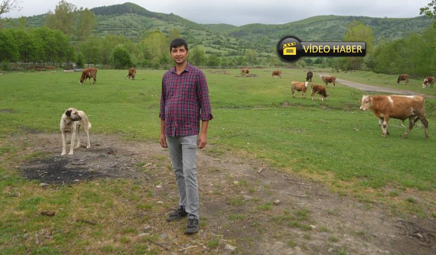Şehir hayatından bıkıp Kastamonu'daki köyünde o işe başladı! (görüntülü haber)