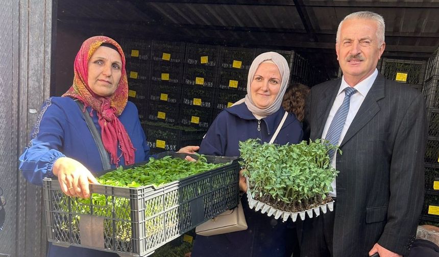 Kastamonu’da Üreticiye Can Suyu: 400 Çiftçi Fide ve Tohumlarını Aldı
