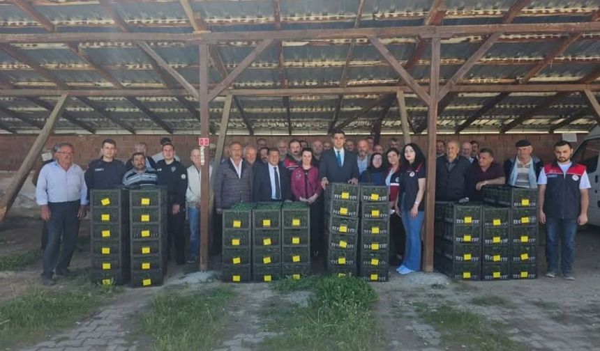 Kastamonu’nun ilçesinde 15 binden fazla fide üreticiyle buluştu