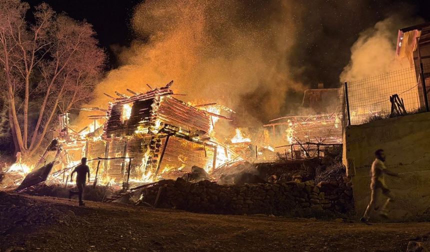 Kastamonu'nun ilçesinde feci yangın: Ev, ahır ve cami küle döndü!