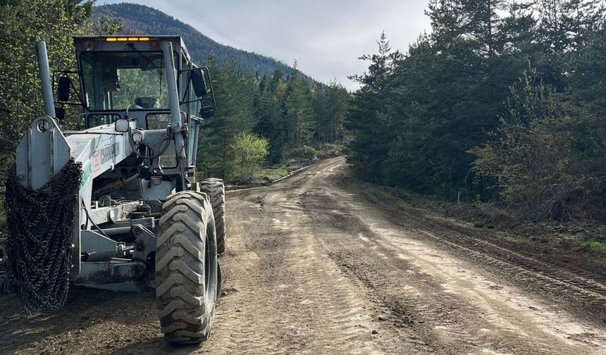 Kastamonu’nun Orman Yolları Yenileniyor: Tesviye Çalışmaları Başladı