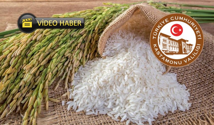 Kastamonu’nun gözbebeği Tosya Pirinci, yeni üretim dönemine girdi