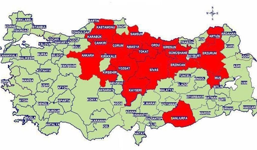 Kastamonu ve bölgesinde de görülüyor: 'Ölümcül vaka sayısı artacak, ciddiye alalım'