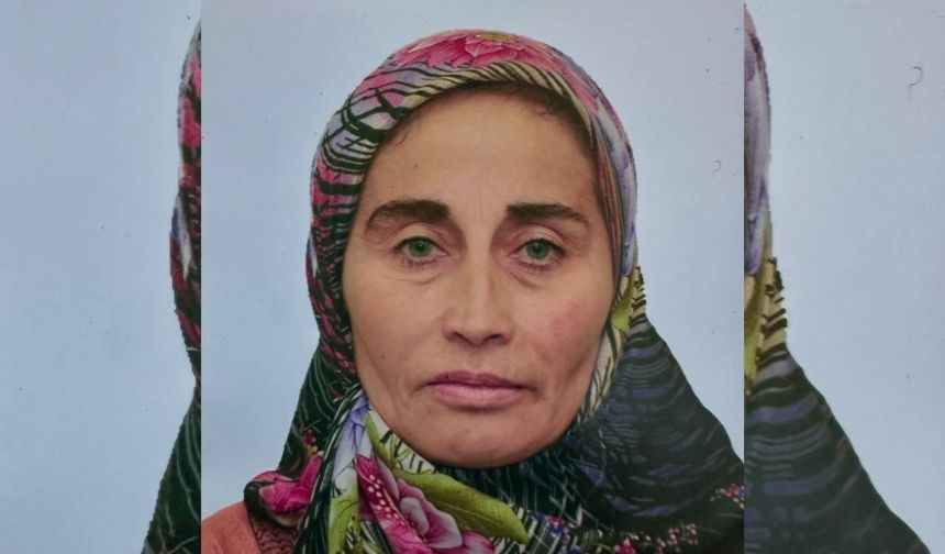 Kastamonu’nun ilçe belediyesi paylaştı: Genç kadın kayboldu!