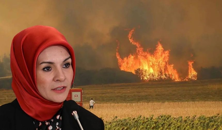 Bakan Göktaş Açıkladı: Yangından Etkilenen İllere 10 Milyon Liralık Destek