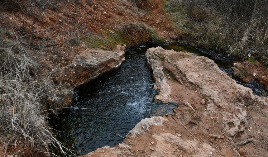 Her yıl yüzlerce kişi Kastamonu'daki bu suyla şifa arıyor!