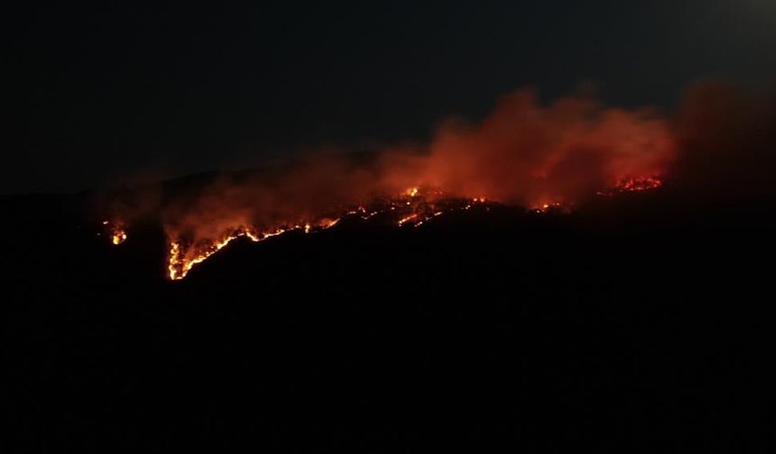 Son dakika: Ilgaz Dağı ormanlarında yine alevler yükseldi