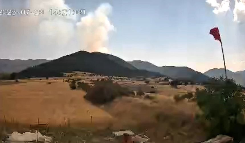 Kastamonu-Çankırı sınırındaki orman yangınının çıkış anı kameraya yansıdı