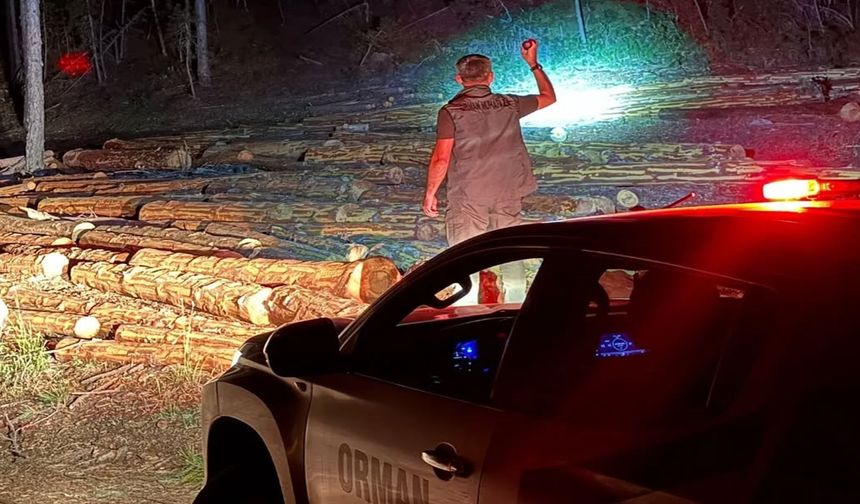 Kastamonu ormanlarında devriye