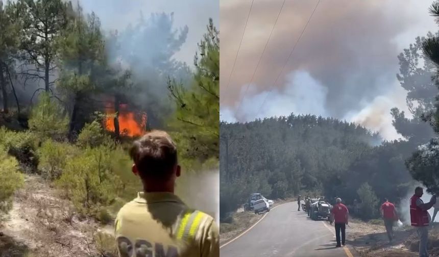 Kastamonu’nun ateş savaşçıları Sakarya’da görev başında