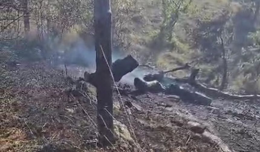 Kastamonu'nun ilçesinde orman yangını paniği!